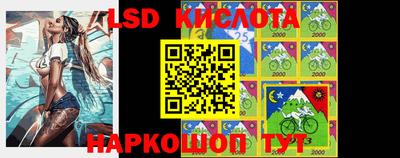 крисы Владимир