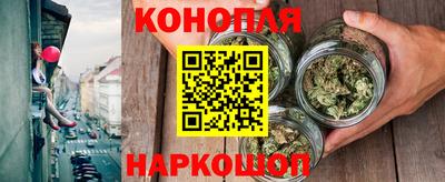 индика Братск