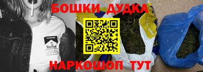 индика Братск